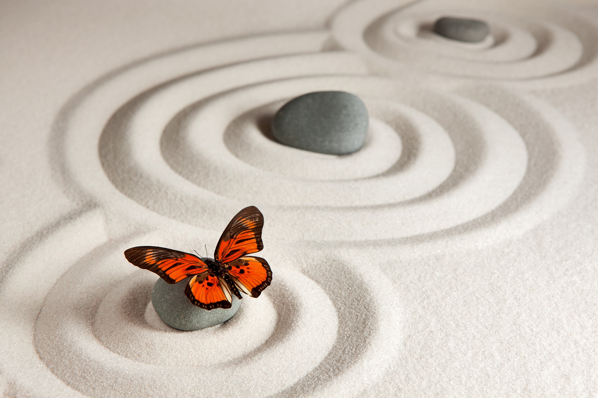 Online-Kurs: Qi Gong für die Seele – Mit den 12 Meridianen zu emotionaler Ruhe